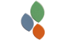 CSD Logo